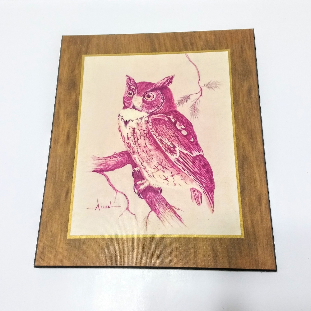 Vintage Owl Wood Wall Art Piece